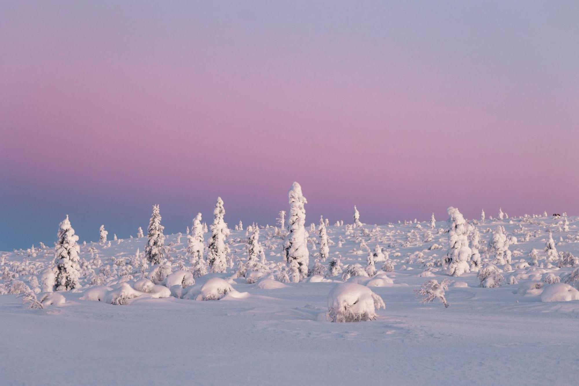 Star Arctic Hotel Саариселькя Экстерьер фото